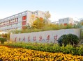 2025年渭南职业技术学院三年制高职招生章程