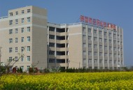 陕西航空职业技术学院 2025年陕西单招 高职院校分类考试招生章程